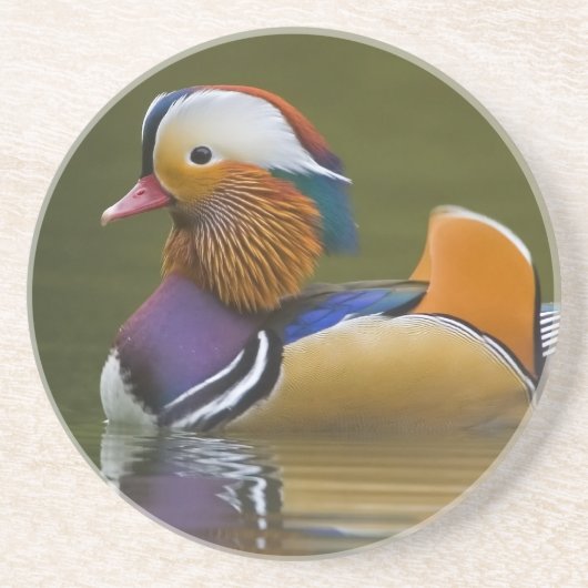 Wild Mandarin Duck Aix galericulata) auf dunkel Getränkeuntersetzer (Vorne)