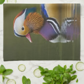 Wild Mandarin Duck Aix galericulata) auf dunkel Handtuch (Gefaltet)