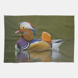 Wild Mandarin Duck Aix galericulata) auf dunkel Handtuch