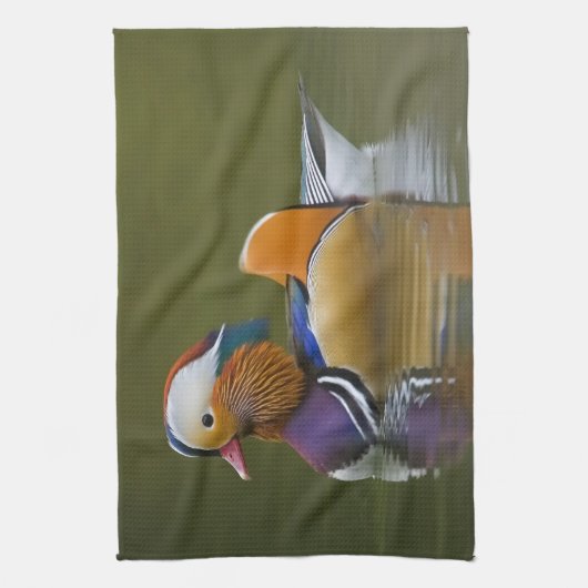 Wild Mandarin Duck Aix galericulata) auf dunkel Handtuch (Vertikal)