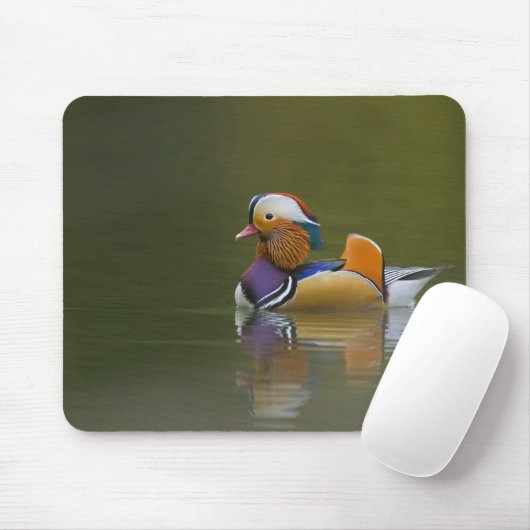 Wild Mandarin Duck Aix galericulata) auf dunkel Mousepad (Mit Mouse)