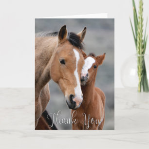 Wild Mare and Foal Foto Danke, Card Dankeskarte