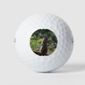 Wild Meerkat Golfball (Vorderseite)