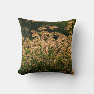 Wild Millet (Panicum Sp.) Wachstum in Feuchtgebiet Kissen