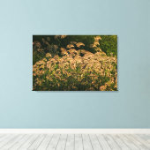 Wild Millet (Panicum Sp.) Wachstum in Feuchtgebiet Leinwanddruck (Insitu (Holzboden))