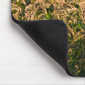 Wild Millet (Panicum Sp.) Wachstum in Feuchtgebiet Mousepad (Ecke)