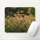Wild Millet (Panicum Sp.) Wachstum in Feuchtgebiet Mousepad (Mit Mouse)