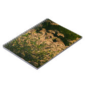 Wild Millet (Panicum Sp.) Wachstum in Feuchtgebiet Notizblock (Linke Seite)