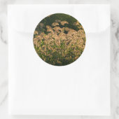 Wild Millet (Panicum Sp.) Wachstum in Feuchtgebiet Runder Aufkleber (Tasche)