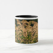 Wild Millet (Panicum Sp.) Wachstum in Feuchtgebiet Tasse (Zentrum)