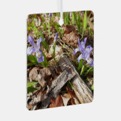 Wild Miniature Ornament Aus Metall (Vorderseite Rechts)