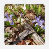 Wild Miniature Ornament Aus Metall (Rückseite)