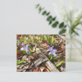 Wild Miniature Postkarte (Stehend Vorderseite)