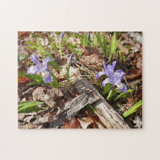 Wild Miniature Puzzle (Horizontal)