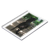 "Wild Mintaka!" Notizbuch Notizblock (Linke Seite)