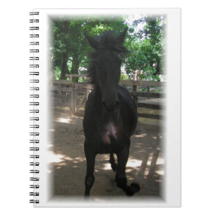 "Wild Mintaka!" Notizbuch Notizblock