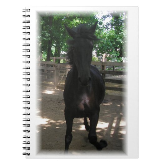 "Wild Mintaka!" Notizbuch Notizblock (Vorderseite)