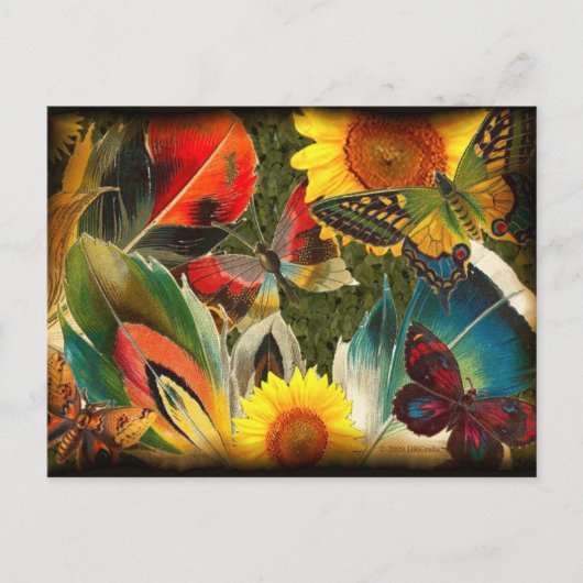 Wild mit Kante Postkarte (Vorderseite)