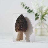 Wild Morel Mushroom Postcard Postkarte (Stehend Vorderseite)