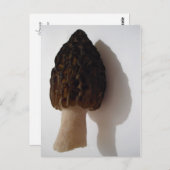 Wild Morel Mushroom Postcard Postkarte (Vorne/Hinten)