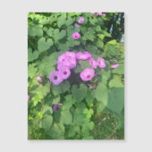 Wild Morning Glories Magnet (Vorderseite)