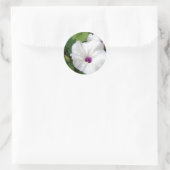 Wild Morning Glory-2010 Runder Aufkleber (Tasche)