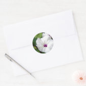 Wild Morning Glory-2010 Runder Aufkleber (Umschlag)