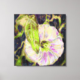Wild Morning Glory von Alexandra Cook Leinwanddruck