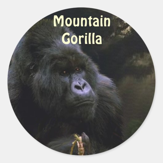 Wild Mountain Gorilla Primat Stickers (Vorderseite)