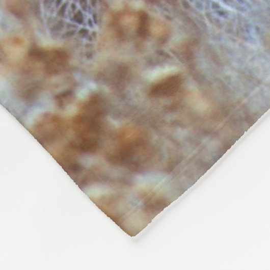 Wild Mule Deer Pair | Kalifornien Fleecedecke (Ecke)