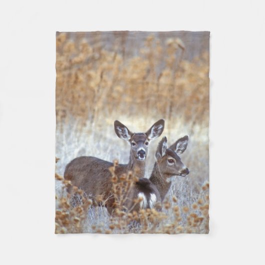 Wild Mule Deer Pair | Kalifornien Fleecedecke (Vorderseite)