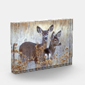 Wild Mule Deer Pair | Kalifornien Fotoblock (Links)
