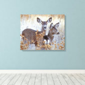 Wild Mule Deer Pair | Kalifornien Leinwanddruck (Insitu (Holzboden))