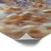 Wild Mule Deer Pair | Kalifornien Poster (Ecke)