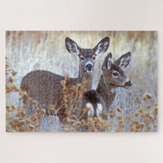 Wild Mule Deer Pair | Kalifornien Puzzle (Horizontal)