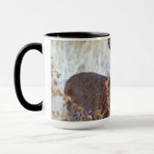 Wild Mule Deer Pair | Kalifornien Tasse (Links)