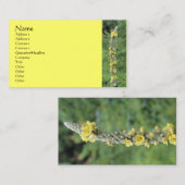 Wild-Mullein-Blumenfotografie-Visitenkarte Visitenkarte (Vorne/Hinten)