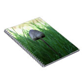 Wild Mushroom-Notebook Notizblock (Rechte Seite)