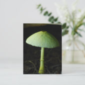 Wild Mushroom Photo  Postkarte (Stehend Vorderseite)