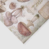 WILD MUSHROOMS DECOUPAGE TISSUPAPIER SEIDENPAPIER (Ausschnitt)