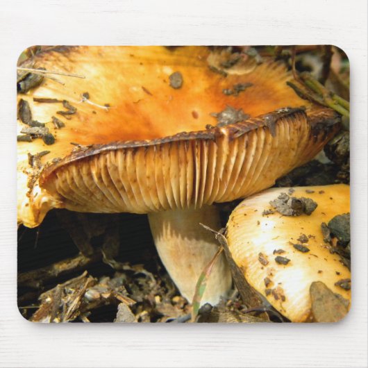 Wild Mushrooms Mousepad (Vorne)