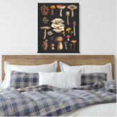 Wild Mushrooms on Grafit Leinwanddruck (Insitu (Schlafzimmer))