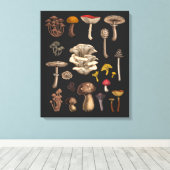 Wild Mushrooms on Grafit Leinwanddruck (Insitu (Holzboden))