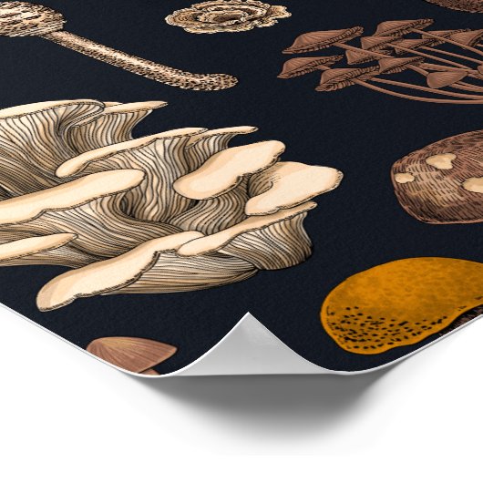 Wild Mushrooms on Grafit Poster (Ecke)