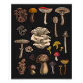 Wild Mushrooms on Grafit Poster (Vorderseite)