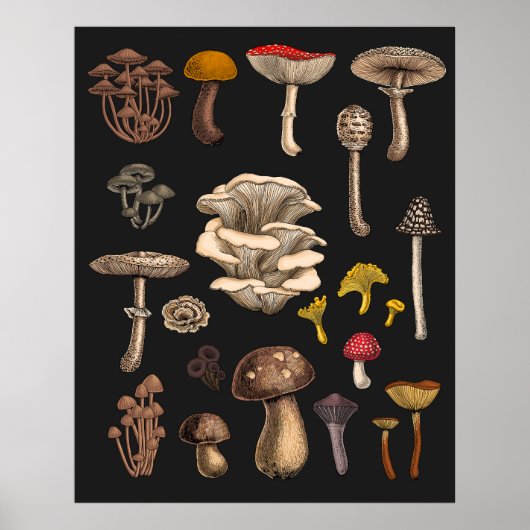 Wild Mushrooms on Grafit Poster (Vorne)