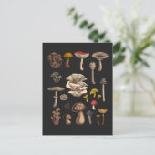 Wild Mushrooms on Grafit Postkarte (Stehend Vorderseite)