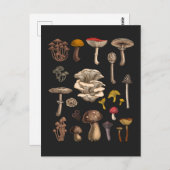 Wild Mushrooms on Grafit Postkarte (Vorne/Hinten)