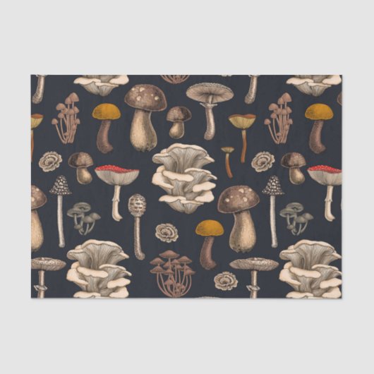 Wild Mushrooms on Grafit Seidenpapier (Vorderseite)
