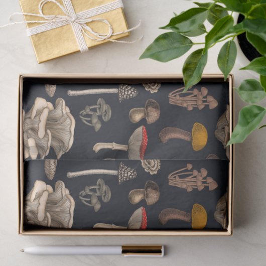 Wild Mushrooms on Grafit Seidenpapier (Geschenk)